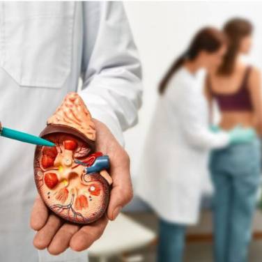 Urology in Focus: Insights and Innovations for Optimal Urinary Health
