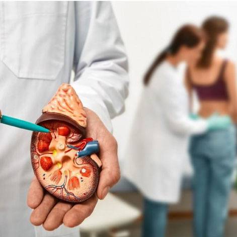 Urology in Focus: Insights and Innovations for Optimal Urinary Health